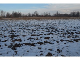 Property photo 14 - FARMLAND AUCTION, 60+/- Acres in 6 Tracts ranging from 4 to 20 acres & in combinations!